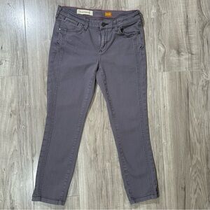 ANTHROPOLOGIE PILCRO and the Letterpress Gray STET Mid Rise Skinny Jeans 27